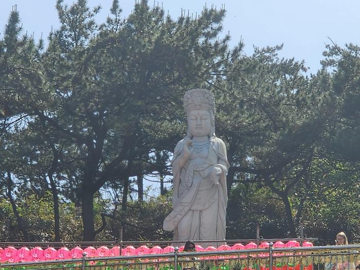 833513927_0LHDscPZ_0d5c0073b44ee622179e3fbe151a9fd5d900e158.jpg 이미지크게보기