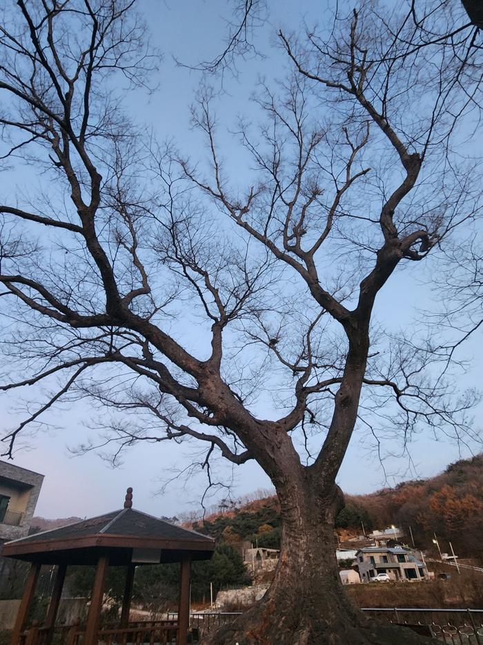 833513927_3zLWQSjX_b1bf4d413862b7580c201990b4037856ceaa732a.jpg 이미지크게보기