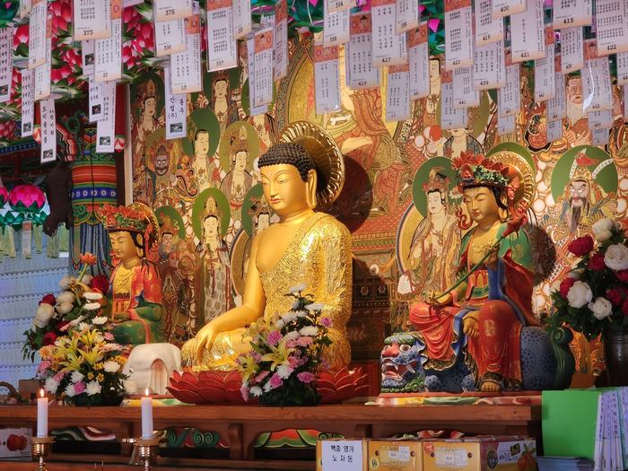 833513927_4rIwkoMg_9ab718a2f6922bd56541d8ddf42dd2d9b26f2ba3.jpg 이미지크게보기