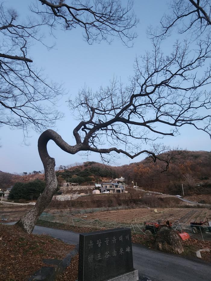833513927_B24Ttcr6_b73ba408f4e0ba9d870338d462e18626be75ca4e.jpg 이미지크게보기