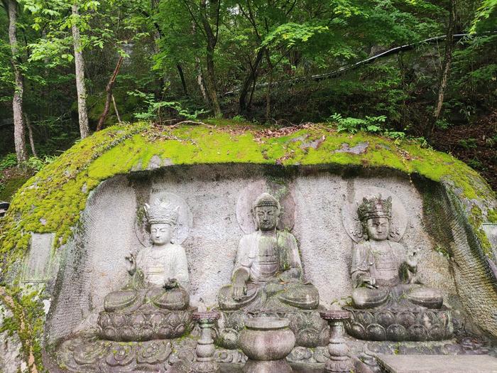 833513927_Fxm05ReL_1923b39fb9edb544cffb7e4e48555fb8ebab9514.jpg 이미지크게보기