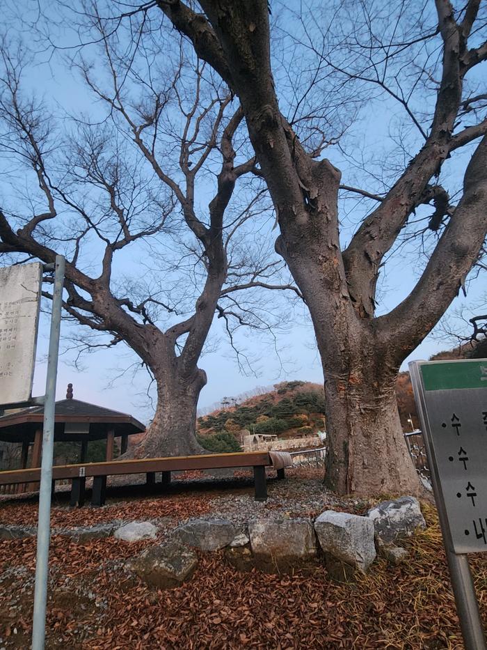 833513927_SLrpDBKQ_34957353c8e6e49df0219dbcea56b05e8696970f.jpg 이미지크게보기