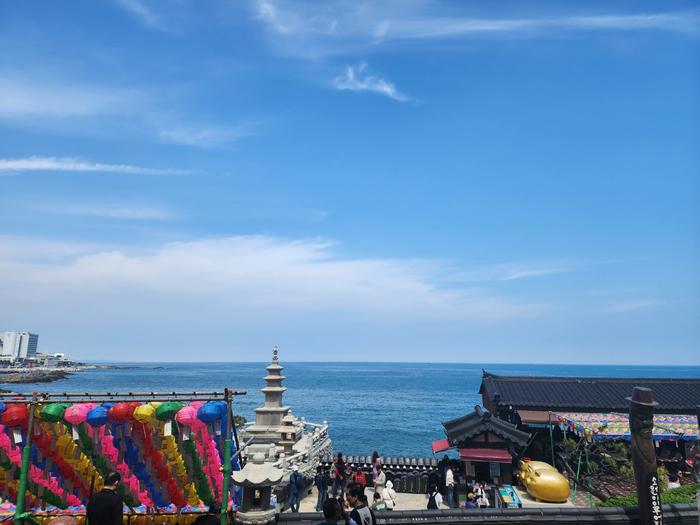 833513927_eEK0sl1P_f57a4fe789467c48a26e3f0f3eeef07e04811ca4.jpg 이미지크게보기