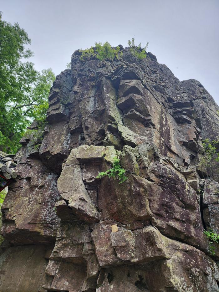 833513927_hgYkF7NT_d86fdfb68fa0acd2fd62943b03624a0264849893.jpg 이미지크게보기