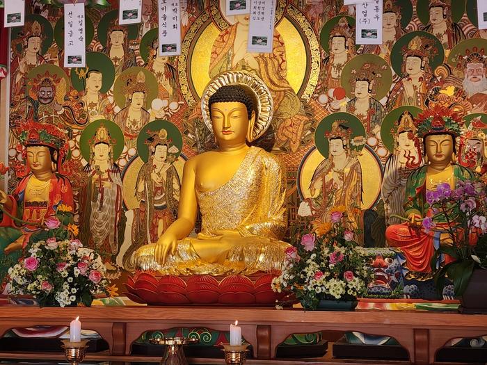 833513927_jRyr0DaE_21a85b5eafee3bb3dbf0c1d01dfe5957aedfffe4.jpg 이미지크게보기