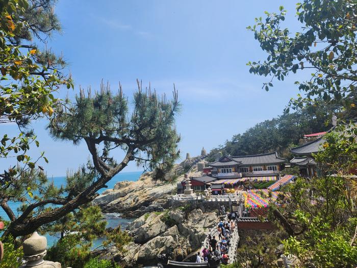 833513927_la6oVmKP_72233a7689bb80dcfc2b52ca04a48bc432b5b359.jpg 이미지크게보기