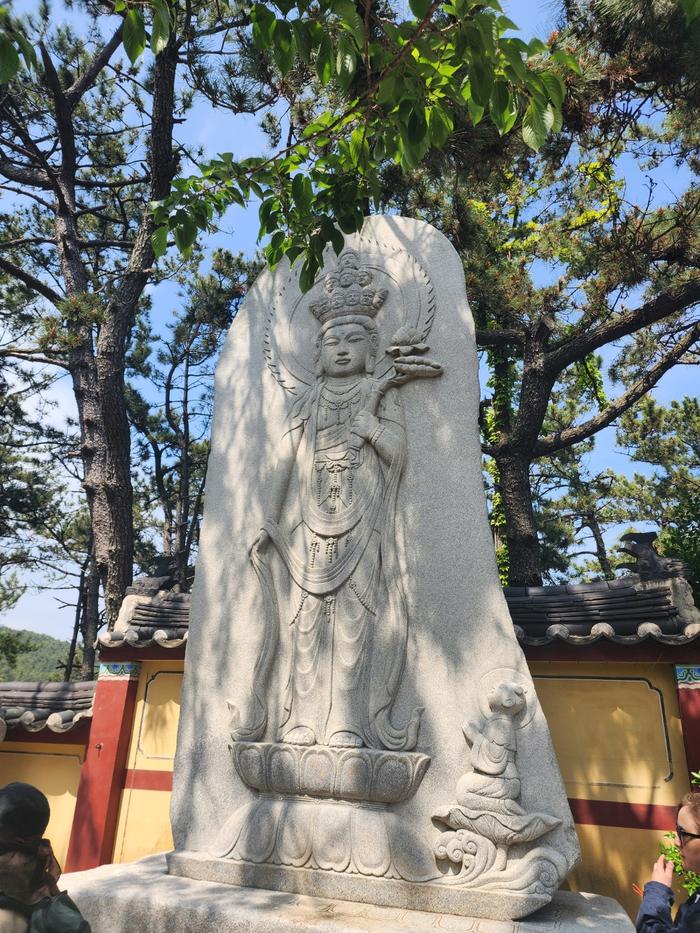 833513927_piYzEDoQ_b3d9558342603605f1882766b1ad4550b3cf9286.jpg 이미지크게보기