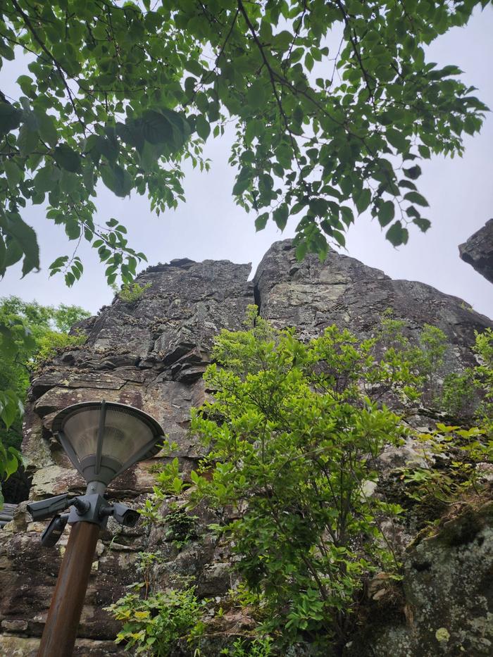 833513927_sxmJFZay_c22e1f9f6415d10523f8bfdf91473e07097fb760.jpg 이미지크게보기