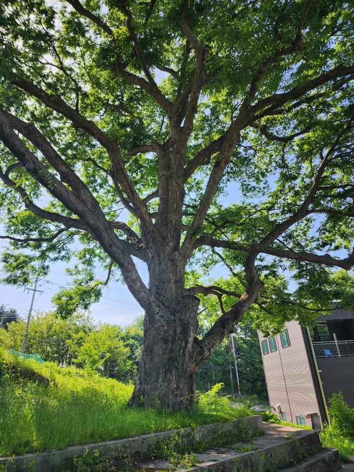 833513927_xVfeqj5m_3fa99eb5a6fa8d14be1f4e77ad5918d45ba165c6.jpg 이미지크게보기