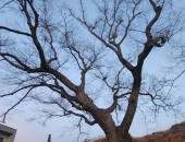 silder_img2