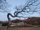 silder_img0