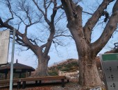 silder_img1